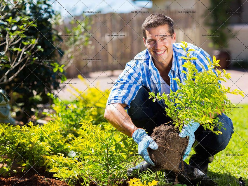 Young Man Gardening